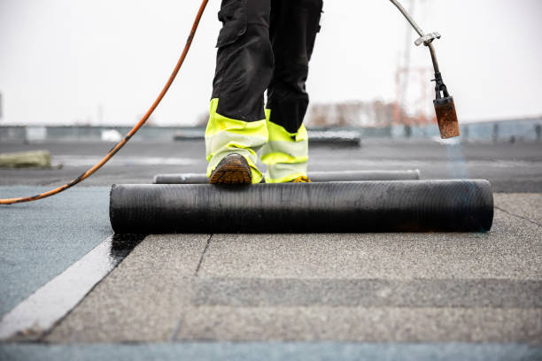 Best Roof Ventilation Installation  in Grosse Pointe Woods, MI